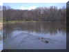 JennyPond.JPG (76746 bytes)